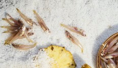 Khi người sáng lập nhỏ kể câu chuyện của mình – Nước mắm JiJi