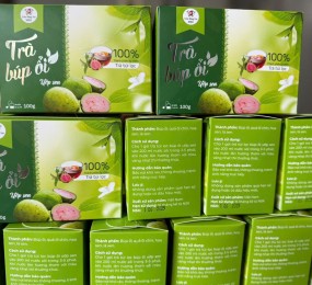 Trà búp ổi ướp sen