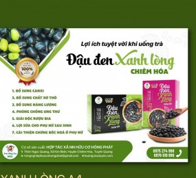 Trà túi lọc đậu đen xanh lòng Chiêm Hoá