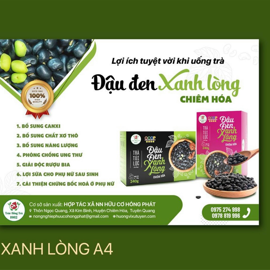 Trà túi lọc đậu đen xanh lòng Chiêm Hoá - Ảnh 2